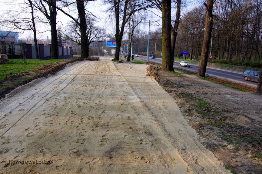 Droga dla rowerów i chodnik zgrabnie omijają rosnące drzewa.