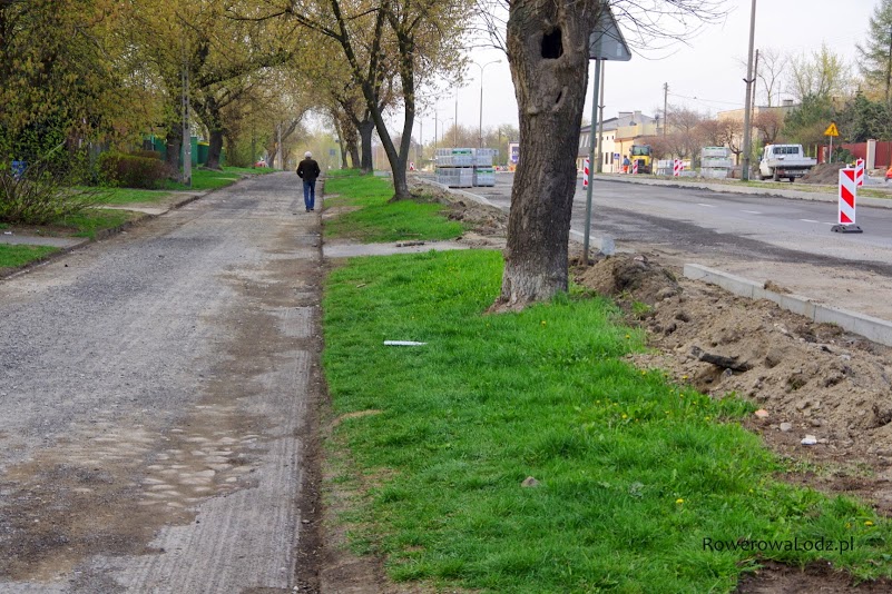 Droga dla rowerów będzie ukryta pod konarami starszych drzew
